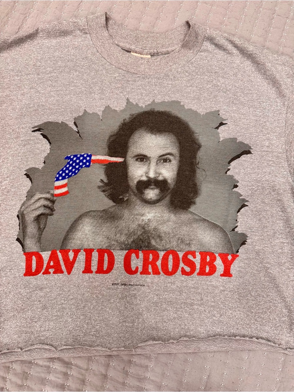 Vintage Gray David Crosby Graphic Tee with Red and Blue Print cropped